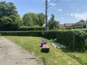 Photo de galerie - Taille de haies et d'arbustes