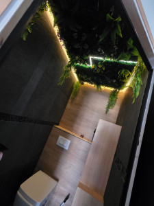 Photo de galerie - Réalisation d'un plafond en faux-végétal. Avec led