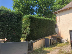 Photo de galerie - Taille de haies et d'arbustes