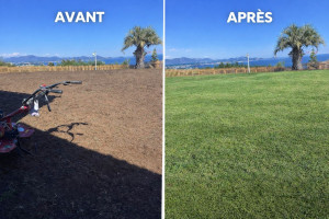 Photo de galerie - Préparation du terrain et semis de gazon naturel.
Travail complet : préparation du sol, nivellement, semis et suivi jusqu’à l’obtention d’un gazon dense et uniforme.