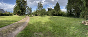 Photo de galerie - Tonte de jardin 