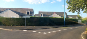 Photo de galerie - Taille de haie