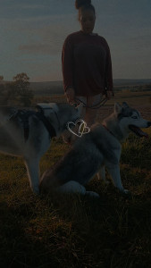 Photo de galerie - Petit promenade avec deux husky lors des vacance des propriétaires.