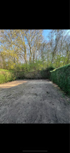 Photo de galerie - Tonte de pelouse - Débroussaillage