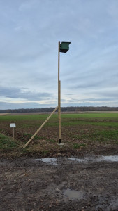 Photo de galerie - Création nichoir pour faucon crécerelle 