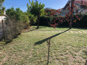 Photo de galerie - Entretient de jardin