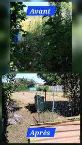 Photo de galerie - Débroussaillage 