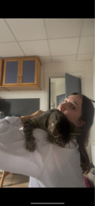 Photo de galerie - Visite de Bertrand le chat collant 