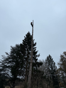 Photo de galerie - Démontage 