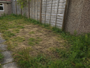 Photo de galerie - Après l’évacuation des déchets 