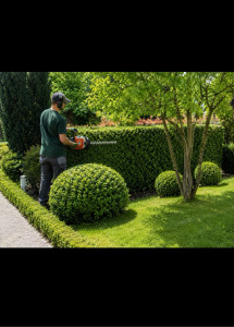 Photo de galerie - Confiez-nous l’entretien de vos espaces verts ! Nous réalisons la taille de haies, d’arbustes et le soin de vos jardins avec un travail soigné et professionnel.