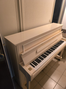 Photo de galerie - Transport d’un piano de 230 kg avec mon collègue : descente du 2ᵉ étage, transport avec un camion de 15 m³, puis remontée au 3ᵉ étage, le tout réalisé avec succès et avec beaucoup de soin.