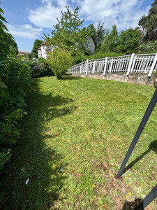 Photo de galerie - Tonte de pelouse. 