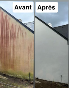 Photo de galerie - Mur après nettoyage, traitement, et ravalement 