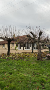 Photo de galerie - Taille 