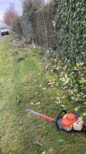 Photo de galerie - Taille de haie 