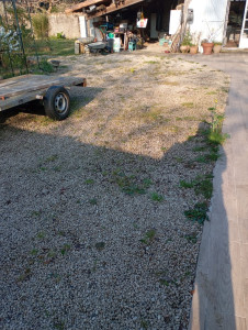 Photo de galerie - Tonte de pelouse - Débroussaillage