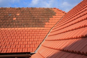 Photo de galerie - Couverture - Toiture