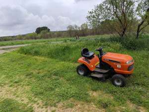 Photo de galerie - Tonte 