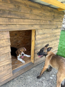 Photo de galerie - Montage meubles en kit