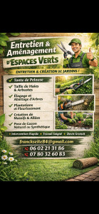 Photo de galerie - Tonte de pelouse - Débroussaillage