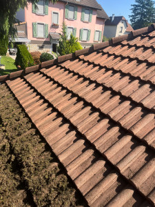 Photo de galerie - Demoussage de toiture (suite)