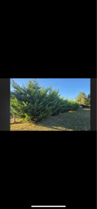 Photo de galerie - Avant 