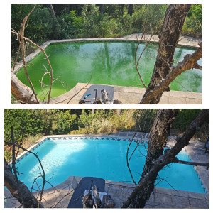 Photo de galerie - Rattrapage eau verte, spécialiste chimie de l'eau. Équipée pour l'aspiration des vases.