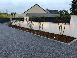 Photo de galerie - Taille de haies et d'arbustes