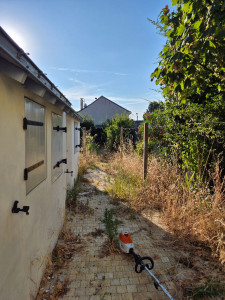Photo de galerie - Demande d'une remise en état du jardin par la cliente en urgence.