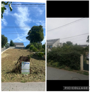 Photo de galerie - Mise à nue d’un terrain