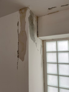 Photo de galerie - Peinture - Tapisserie