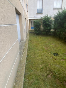 Photo de galerie - Débroussaillage après 