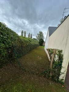 Photo de galerie - Taille de Haie qui envahit c’est le mur