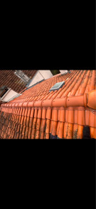 Photo de galerie - Changement de faîtage 