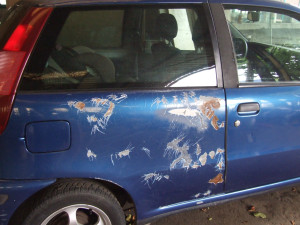 Photo de galerie - Carrosserie Fiat Punto