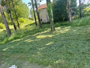 Photo de galerie - Débroussaillage en cours 