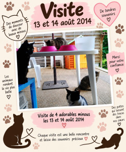 Photo de galerie - Garde chat