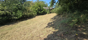 Photo de galerie - Débroussaillage 