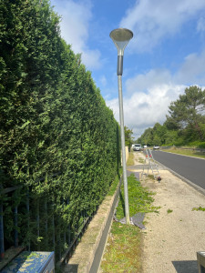 Photo de galerie - Taille de haies et d'arbustes