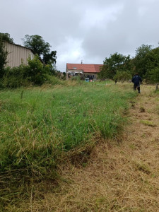 Photo de galerie - Debroussaillage d un terrain 