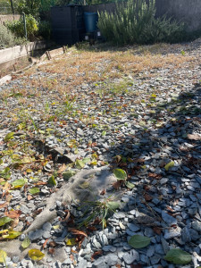 Photo de galerie - Paysagiste - Aménagement du jardin