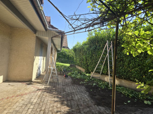 Photo de galerie - Petite haie a couper 