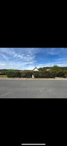 Photo de galerie - Taille de haie 