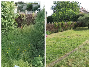 Photo de galerie - Tonte et débroussaillage.