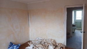 Photo de galerie - Si vous cherchez quelqu'un pour le depapietage je suis là