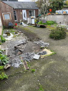 Photo de galerie - Nettoyage court