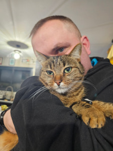 Photo de galerie - Maki chat de 4 ans