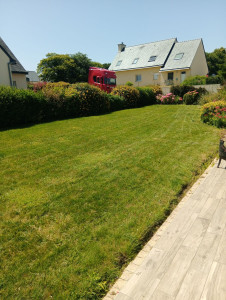 Photo de galerie - Tonte de pelouse - Débroussaillage