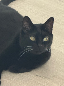 Photo de galerie - Mitsy la beauté 